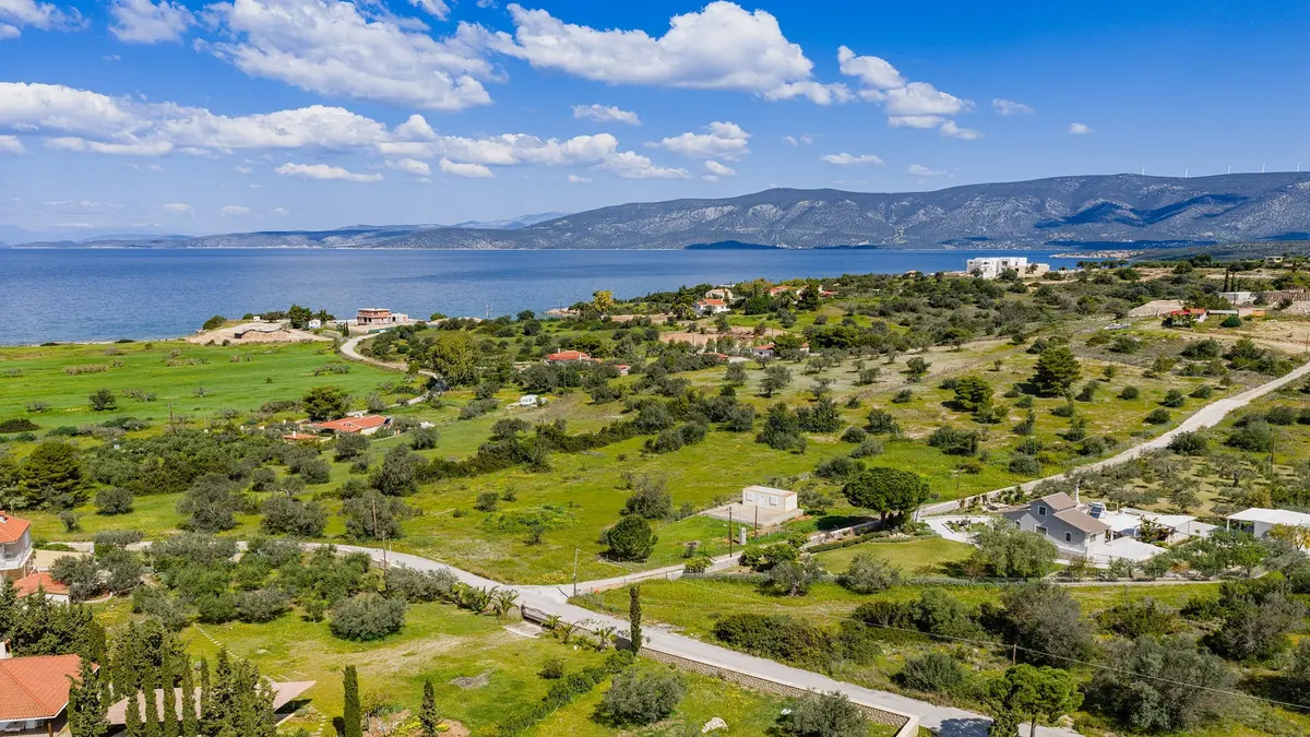 Αργολίδα αεροφωτογραφία - Πράσινη κοιλάδα με ελιές, χωριά και θέα θάλασσας