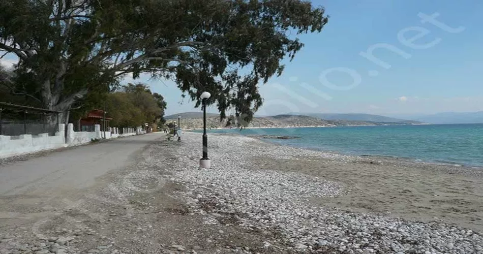 drepano