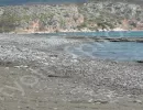 drepano
