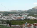 drepano