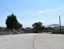 drepano