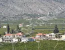 drepano