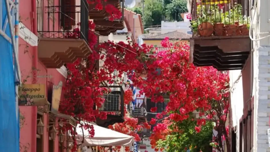 Γραφικό πλακόστρωτο σοκάκι στην παλιά πόλη του Ναυπλίου με ανθισμένες ροζ βουκαμβίλιες για πρόγραμμα 2 ημερών